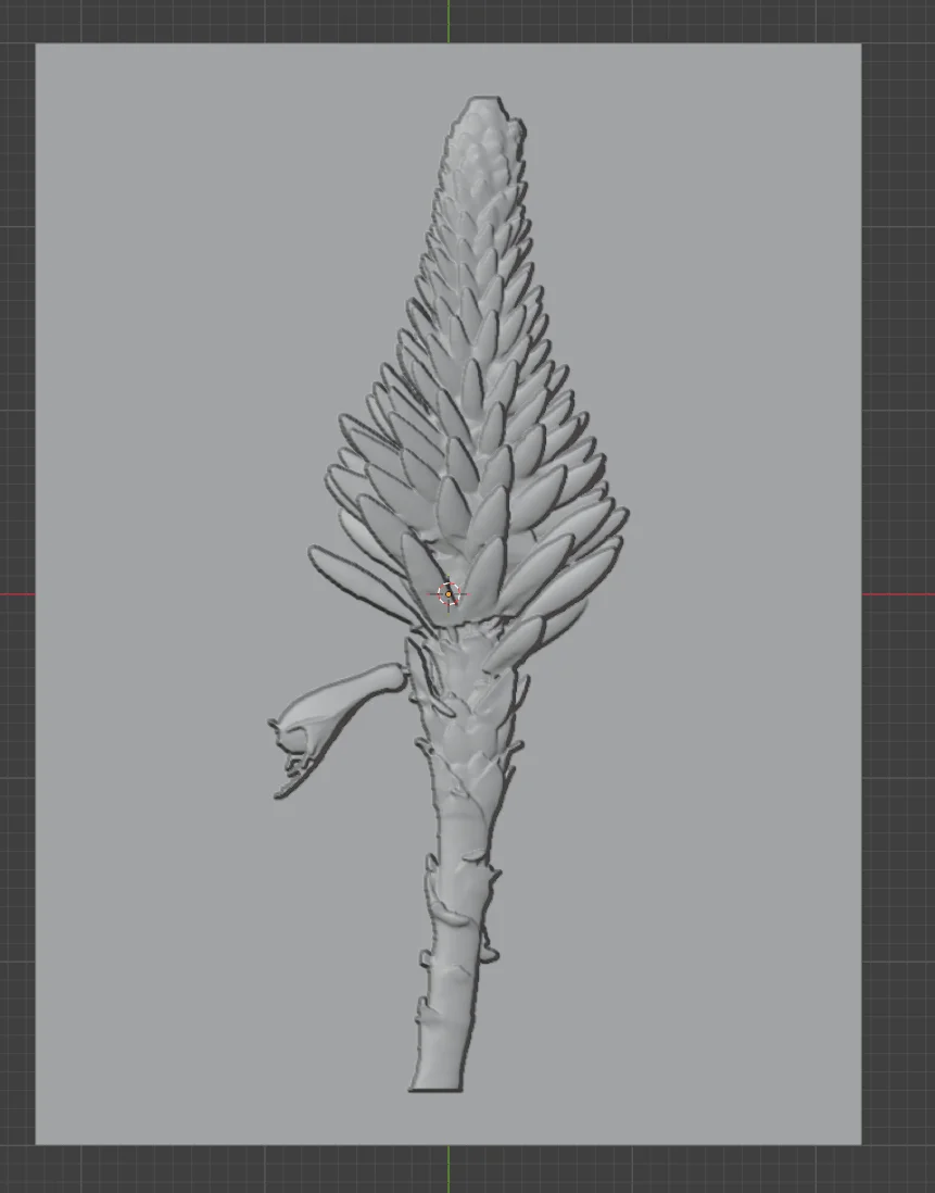 Aloe Flower 5